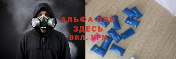 дурь Алексин