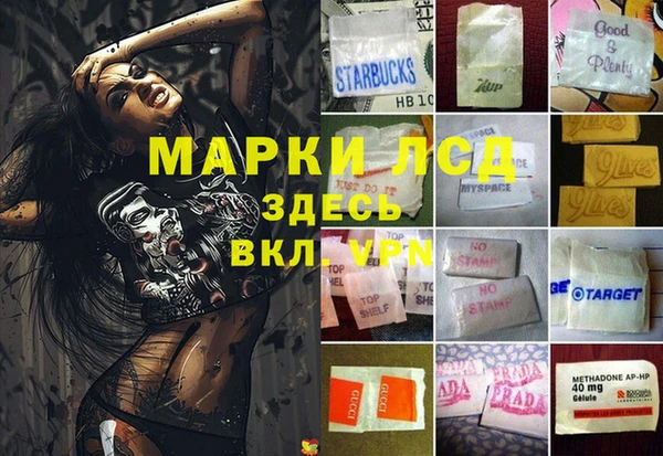 гашик Алзамай