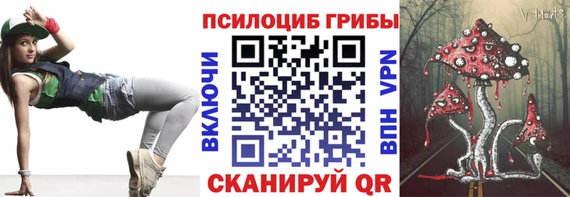 кракен как зайти  Муравленко  Псилоцибиновые грибы Psilocybine cubensis  магазин продажи наркотиков 